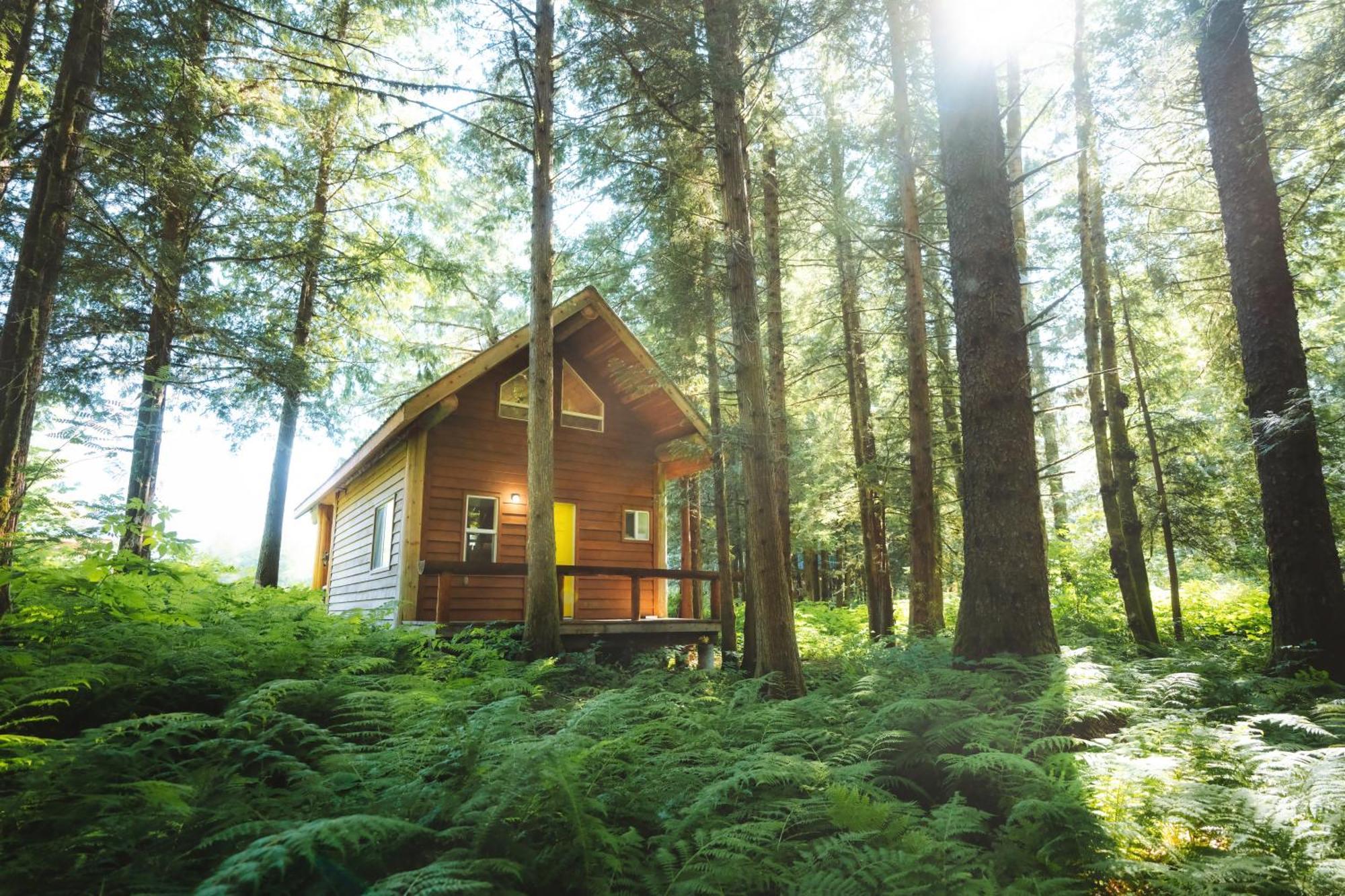 Bella Coola Grizzly Tours And Resort Hagensborg Екстер'єр фото